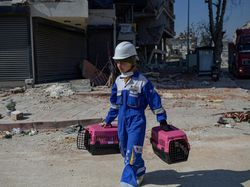 Aksi Menyelamatkan Hewan-hewan yang Terjebak Reruntuhan Gempa Turki Aksi Menyelamatkan Hewan-hewan yang Terjebak Reruntuhan Gempa Turki