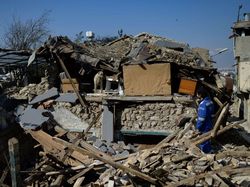 Kisah Penyelamatan Hewan dari Reruntuhan Gempa Turki