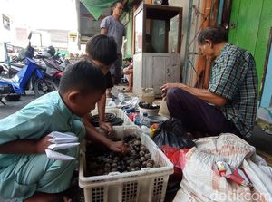 Lato-lato Lewat! Permainan Adu Muncang Ngetren Lagi di Tasikmalaya