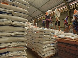 Cadangan Beras RI di Gudang Bulog Menipis, Sisa 280.000 Ton