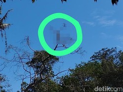 Ada Potongan Tubuh Nyangkut di Pohon Dekat Lokasi Ledakan Petasan Blitar