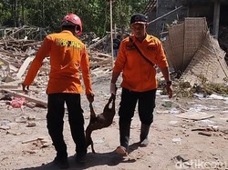 Dua Kambing dan Tujuh Ayam Mati Akibat Ledakan Dahsyat di Blitar