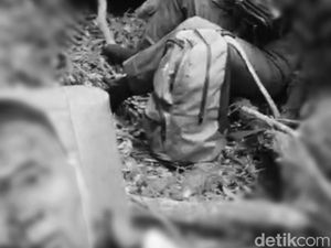 Video Kondisi Para Korban Heli Bawa Kapolda Jambi Jatuh di Tengah Hutan Video Kondisi Para Korban Heli Bawa Kapolda Jambi Jatuh di Tengah Hutan