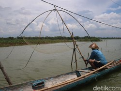 Kisah Petani Pati Terpaksa Jadi Nelayan gegara Sawahnya 3 Bulan Kebanjiran