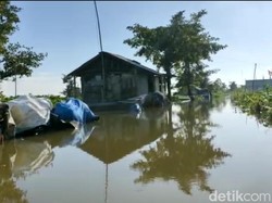 Banjir Bengawan Njero Meluas, 42 Desa di 6 Kecamatan Lamongan Terdampak