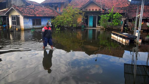 Hujan Terus-menerus, Ratusan Rumah di Kudus Kebanjiran