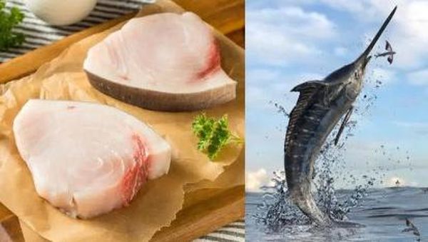 Gokil! 10 Ikan yang Enak Ini Harganya Paling Mahal di Dunia