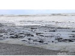 Kapal Tanker Bocor, Aspal Tumpah Cemari Laut Nias 70 Km-Bikin Penyu Mati