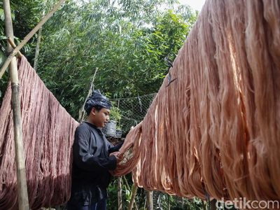 Melihat Pewarnaan Alami Benang Tenun Masyarakat Baduy
