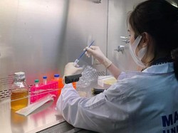 Hari Farmasi Sedunia 25 September, Sejarah dan Fakta Menariknya