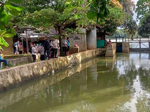 Bocah 5 Tahun Ditemukan Tewas Tenggelam di Setu Pengasinan Depok