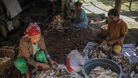 Warga Kampung Adat Cirendeu Pilih Singkong Jadi Makanan Pokok