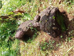 Dua Batu Mirip Sarkofagus Ditemukan di Utara Bendungan Benel