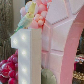 Bernuansa Pink, Ini 7 Potret Ulang Tahun Pertama Ameena Bernuansa Pink, Ini 7 Potret Ulang Tahun Pertama Ameena
