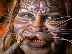 Kehidupan Tragis Pria Terobsesi Oplas Jadi Kucing, Berakhir Bunuh Diri