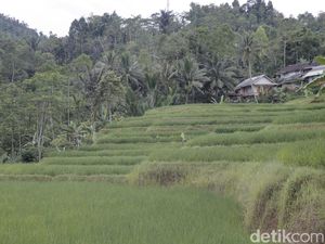 2 Bintang Ini Bukan Bintang Biasa bagi Desa Adat Sinar Resmi 2 Bintang Ini Bukan Bintang Biasa bagi Desa Adat Sinar Resmi