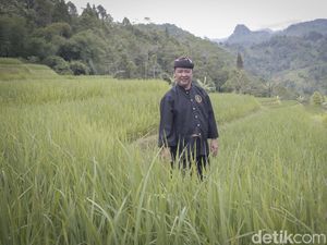 Kisah Abah Asep Nugraha, Ketua Adat yang Bikin Jokowi Takjub