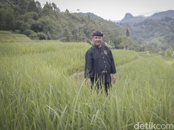 Kisah Abah Asep Nugraha, Ketua Adat yang Bikin Jokowi Takjub