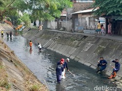 Respons NasDem dan PKS Soal Camat di Medan Ingin Beli CCTV Pantau Sungai