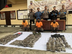 Transaksi Ganja 11 Kg di Perbatasan RI-Papua Nugini, 3 Orang Ditangkap