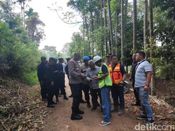 Kapolda Jambi Sudah Dievakuasi, 47 Personel SAR Baru Keluar Hutan Kerinci