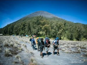 Banyak Tinja di Mata Air Gunung, APGI: Traveler Abai Etika Pendakian