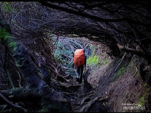 Mendaki Gunung Kian Digemari, Pemerintah Diminta Atur Kuota-Standar Pemandu