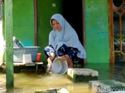 42 Desa di Lamongan Terendam Banjir, Warga Pakai Air Kotor untuk Cuci Piring