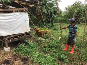 Lagi, 6 Kambing Warga Depok Dicuri dan Disisakan Jeroannya Saja Lagi, 6 Kambing Warga Depok Dicuri dan Disisakan Jeroannya Saja
