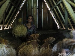 Saat Hidup Timbun Padi, Lumbung Dibongkar Jika Mati
