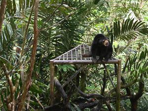 20 Rekomendasi Wisata Balikpapan untuk Dikunjungi di Tahun 2023