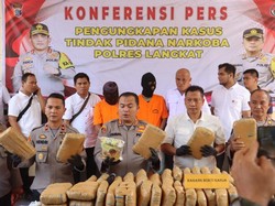 Pria Asal Aceh Ditangkap Bawa 233 Kg Ganja di Langkat
