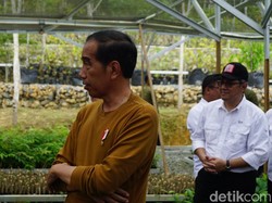 Pamer Progres Rumah Menteri, Jokowi Pastikan IKN Dibangun!