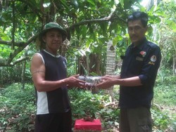 Anak Jalak Bali Ditemukan di Luar Taman Nasional Bali Barat