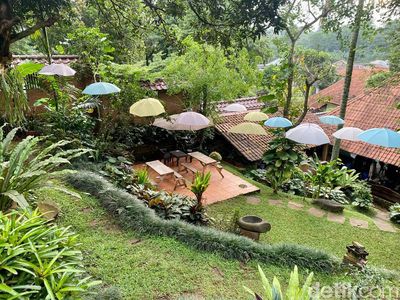 Hidden Gem di Cinere, Kafe di Pinggir Kali yang Asri