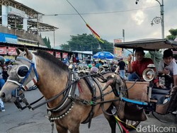 Belum Punya Kendaraan Wisata, Kota Batu Masih Bertahan dengan Dokar