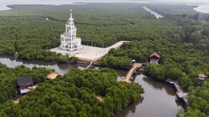 Asrinya Hutan Mangrove Kuala Langsa di Aceh