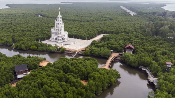 Asrinya Hutan Mangrove Kuala Langsa di Aceh