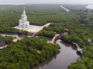 Asrinya Hutan Mangrove Kuala Langsa di Aceh