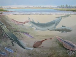 7 Kaidah Alam Ini Jelaskan Alasan Hewan Bisa Punya Ukuran Ekstrem