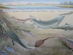 Ikan Purba Mirip Hiu Ditemukan di Maroko, Hidup 365 Juta Tahun Lalu