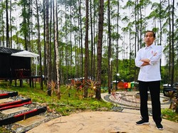 Jokowi Bentuk Satgas Percepatan Investasi IKN, Bahlil Jadi Ketua-AHY Wakil