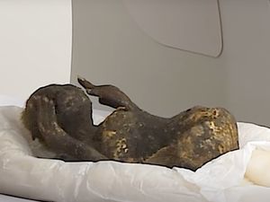 Mumi Putri Duyung Palsu Disembah Puluhan Tahun di Jepang