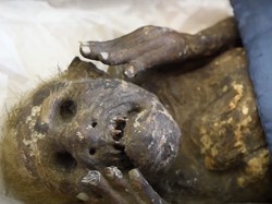 Wujud Sebenarnya Mumi Putri Duyung Jepang Ningyo yang Disembah 40 Tahun