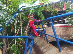 Pohon Tumbang di Cipinang Jaktim, Jembatan hingga Rumah Rusak Tertimpa