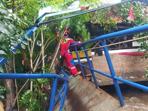 Pohon Tumbang di Cipinang Jaktim, Jembatan hingga Rumah Rusak Tertimpa Pohon Tumbang di Cipinang Jaktim, Jembatan hingga Rumah Rusak Tertimpa