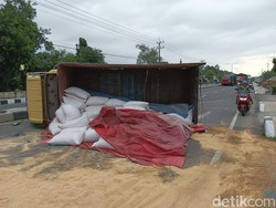 Hindari Kucing Nyebrang, Truk Muat Pakan Ternak di Jombang Terguling