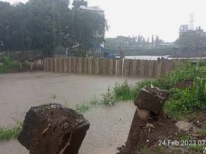 Kontraktor Wanprestasi, Proyek Turap Antibanjir Kembangan Utara Mandek Kontraktor Wanprestasi, Proyek Turap Antibanjir Kembangan Utara Mandek