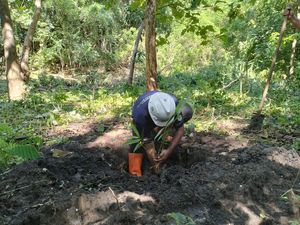 Destinasi Goa Batu Cermin Dicanangkan Jadi Pusat Bambu di Labuan Bajo Destinasi Goa Batu Cermin Dicanangkan Jadi Pusat Bambu di Labuan Bajo