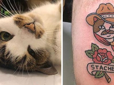 Foto Tato Kartun yang Imut Karya Seniman Korea